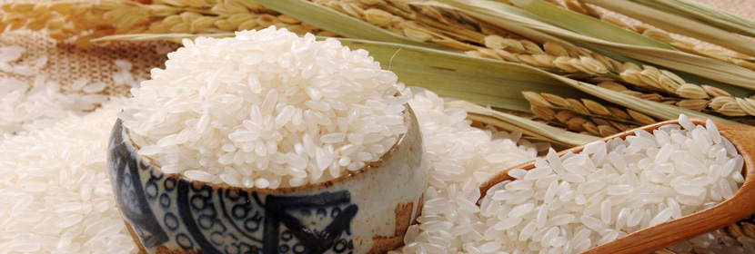 米面类检测