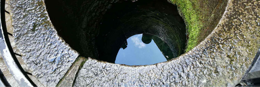 农药残留检测